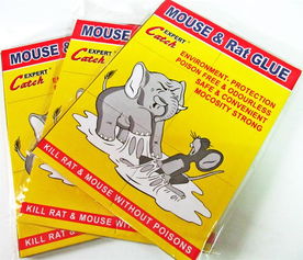 廠家直銷環(huán)保外貿(mào)粘鼠膠板——義烏市綠亞日用品廠，一站式采購(gòu)指南